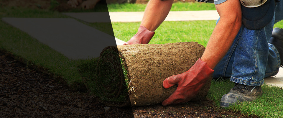 Okeechobee Landscapers